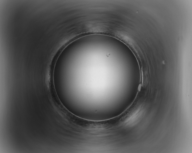 X0000090740435200707201432