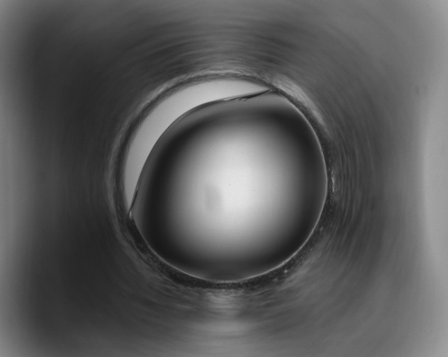 X0000090740436200707201432