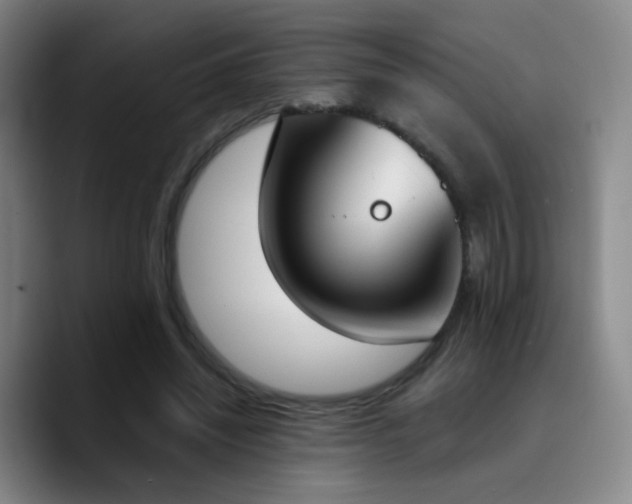 X0000090740444200707201432