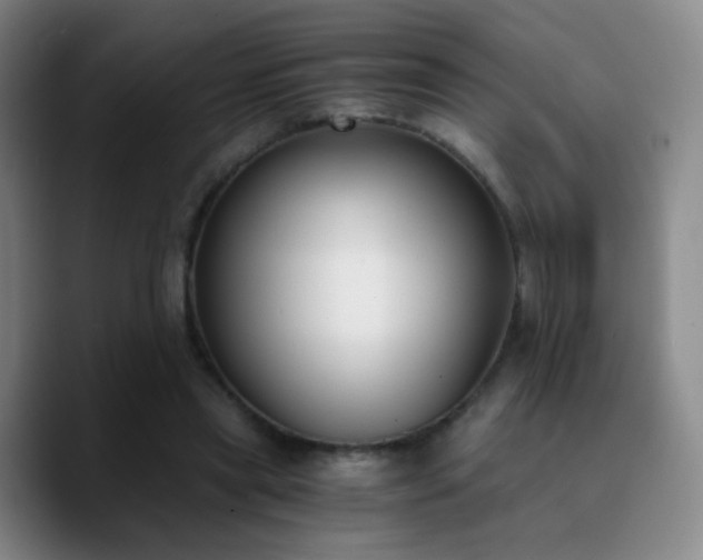 X0000090740445200707201432