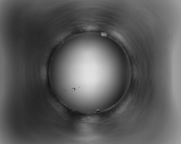 X0000090740447200707201432