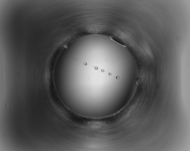 X0000090740448200707201432