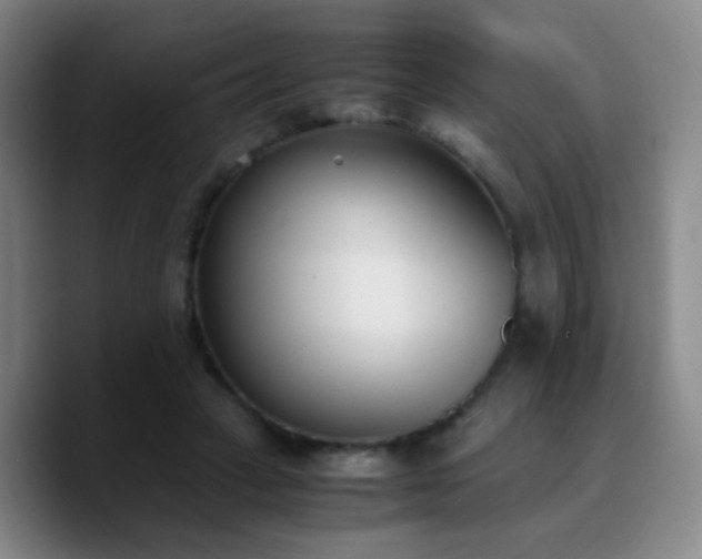 X0000090740449200707201432