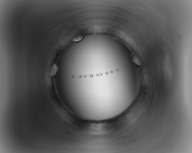 X0000090740450200707201432