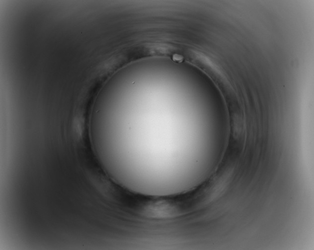 X0000090740451200707201432