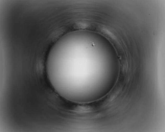 X0000090740455200707201432