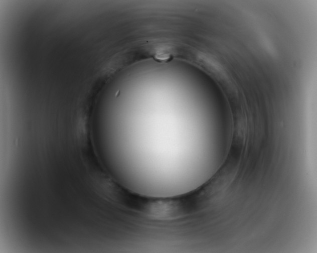 X0000090740461200707201433