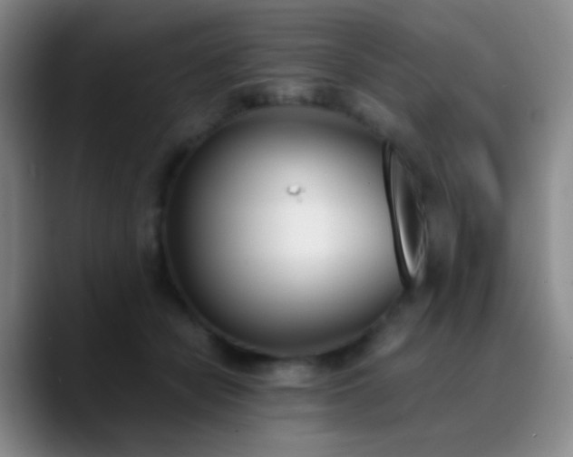 X0000090740462200707201433