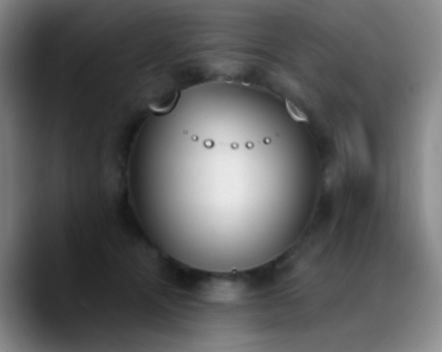 X0000090740464200707201433