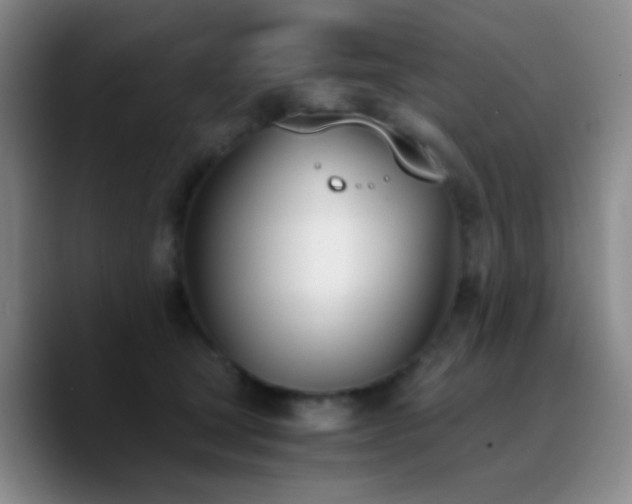 X0000090740465200707201433