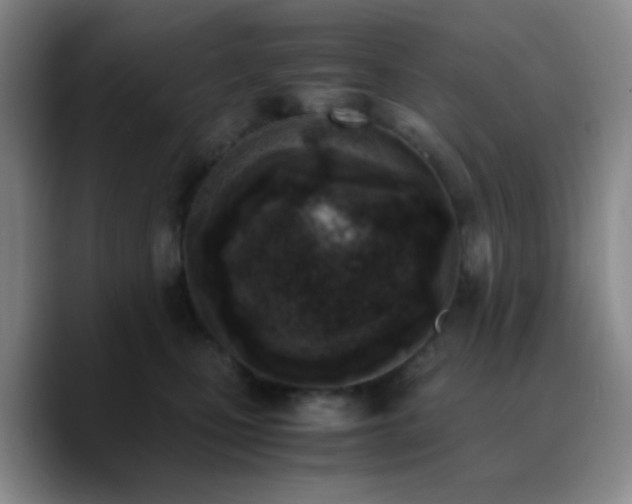 X0000090740471200707201433