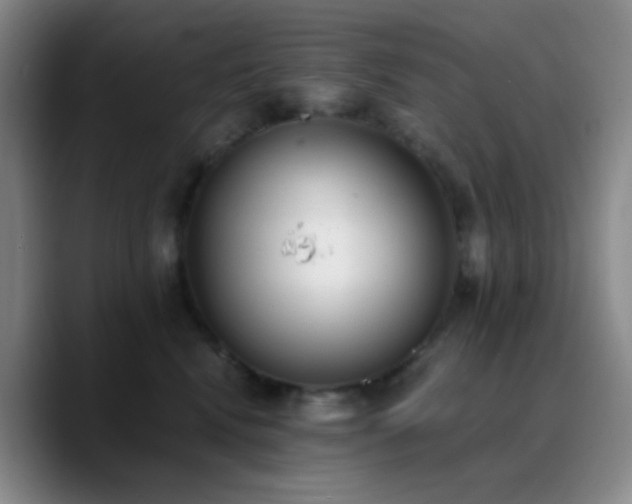X0000090740472200707201433