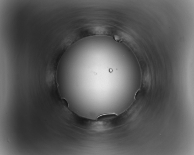 X0000090740473200707201433
