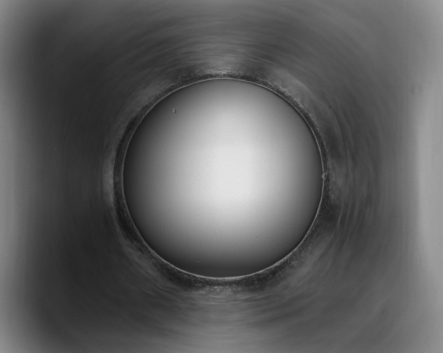 X0000090740482200707201432