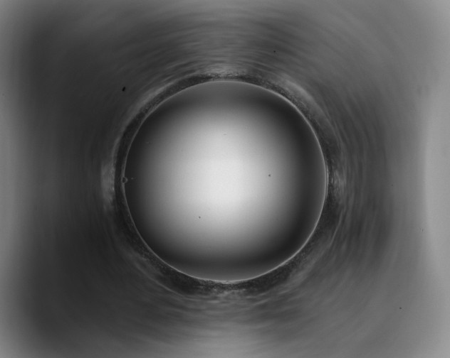 X0000090740484200707201432