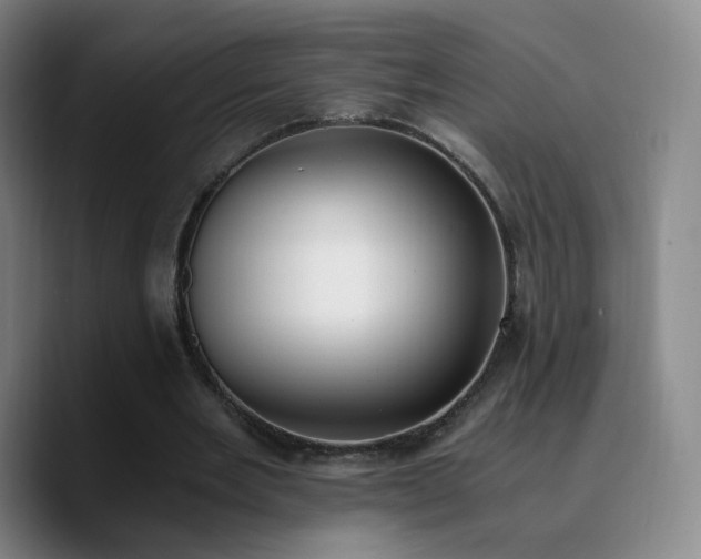 X0000090740485200707201432