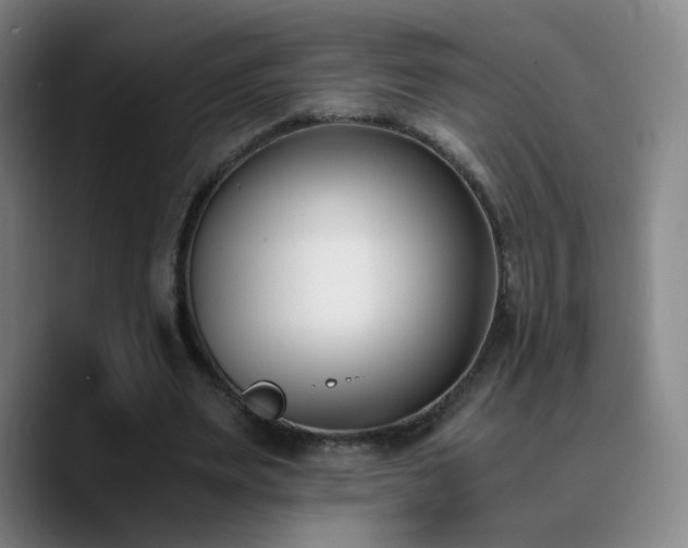 X0000090740487200707201432