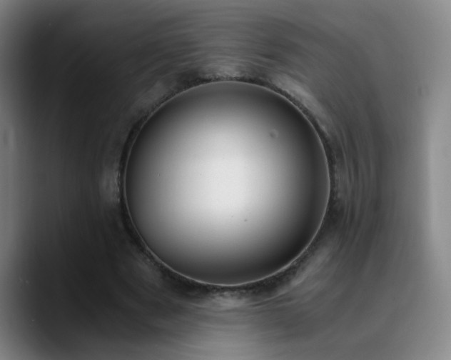 X0000090740489200707201432