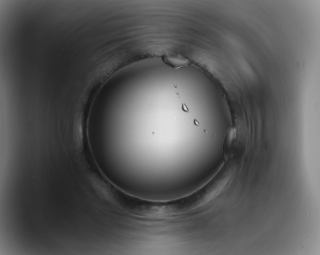 X0000090740493200707201432