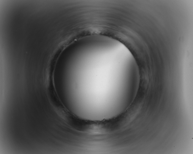 X0000090740496200707201432