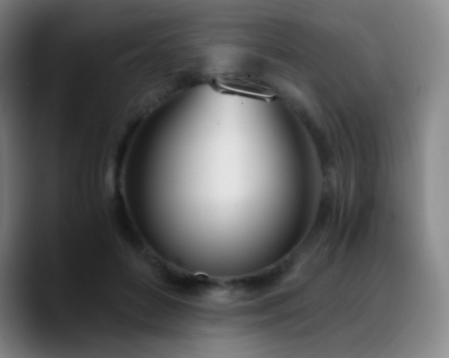 X0000090740504200707201432