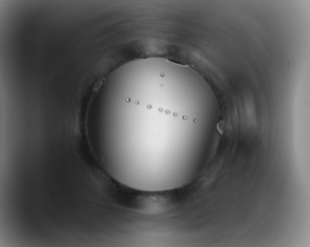 X0000090740512200707201432