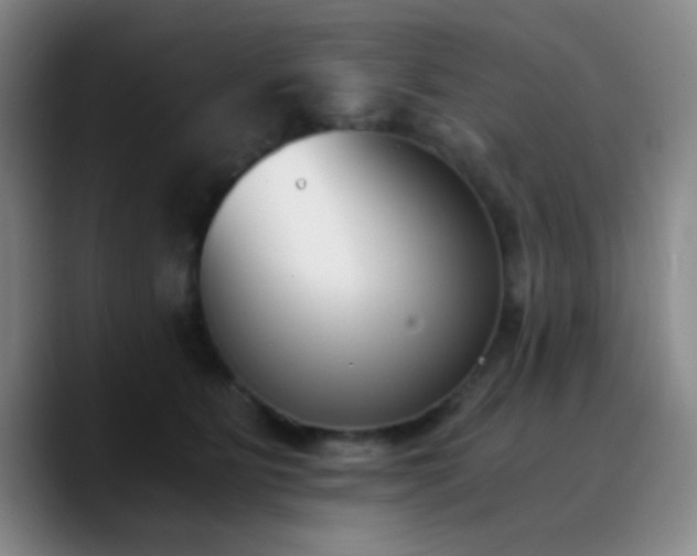 X0000090740515200707201432