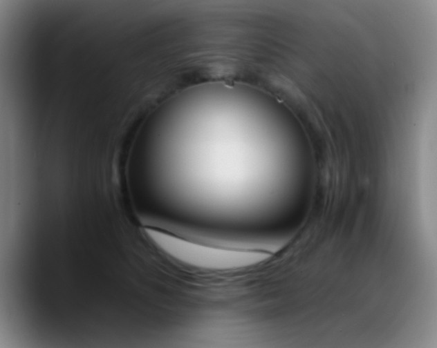 X0000090740516200707201432