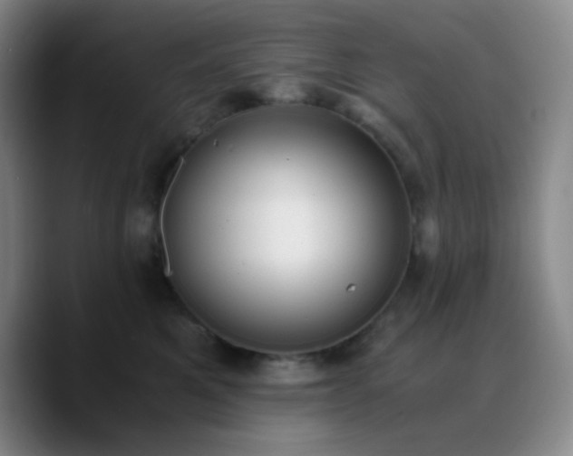 X0000090740521200707201431