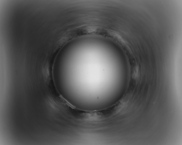 X0000090740524200707201431