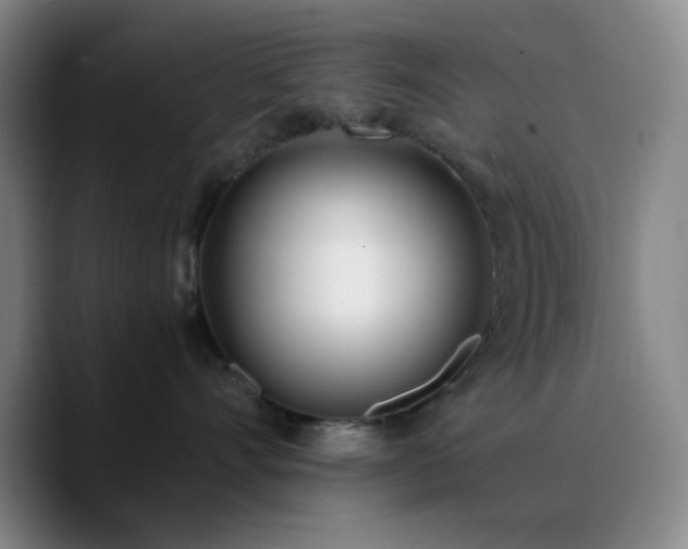 X0000090740528200707201431