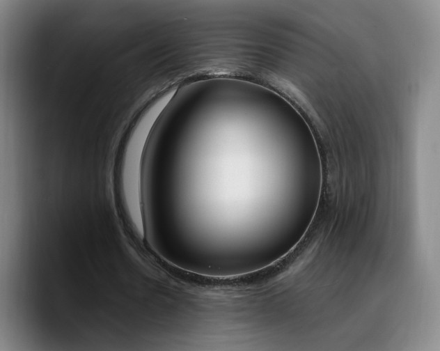 X0000090740530200707201431