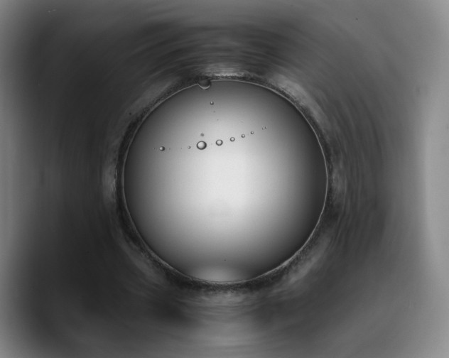 X0000090740533200707201431