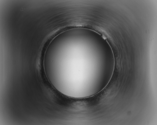 X0000090740536200707201431