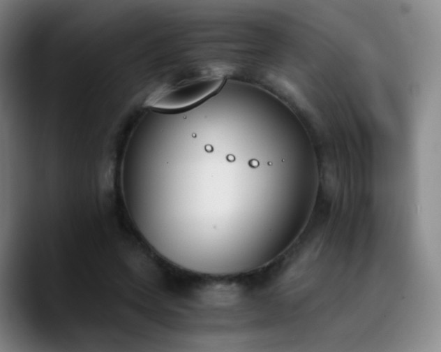 X0000090740543200707201431