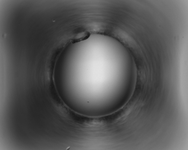 X0000090740546200707201431