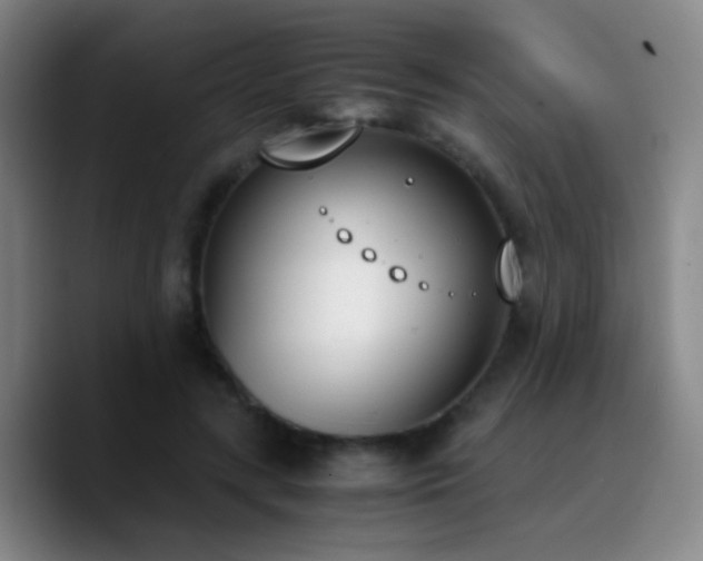 X0000090740547200707201431