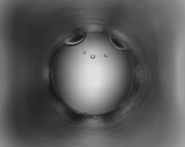 X0000090740550200707201431