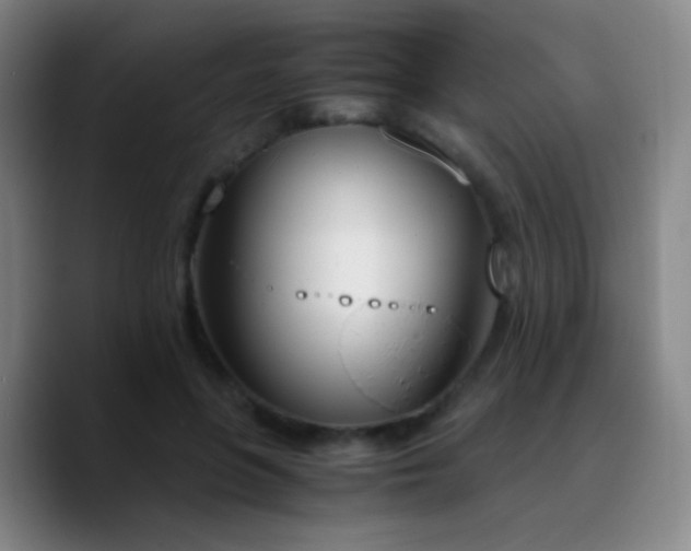X0000090740551200707201431