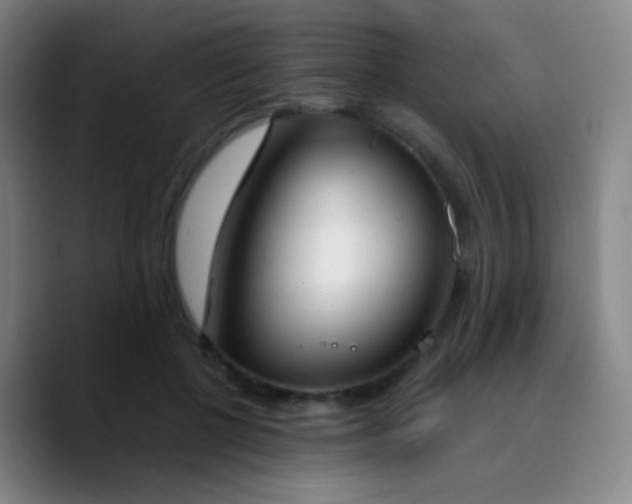 X0000090740552200707201431