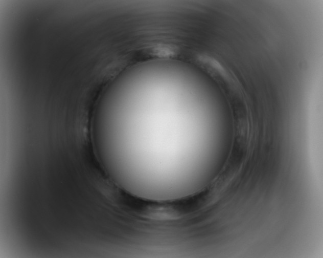 X0000090740553200707201431