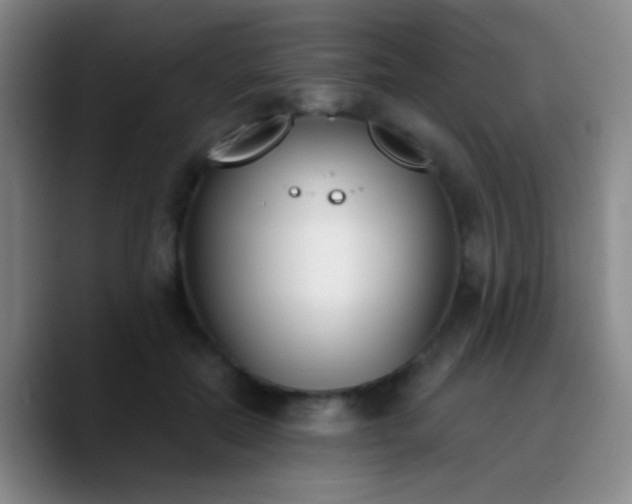 X0000090740554200707201431