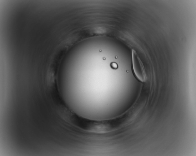 X0000090740555200707201431
