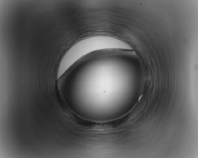 X0000090740556200707201431