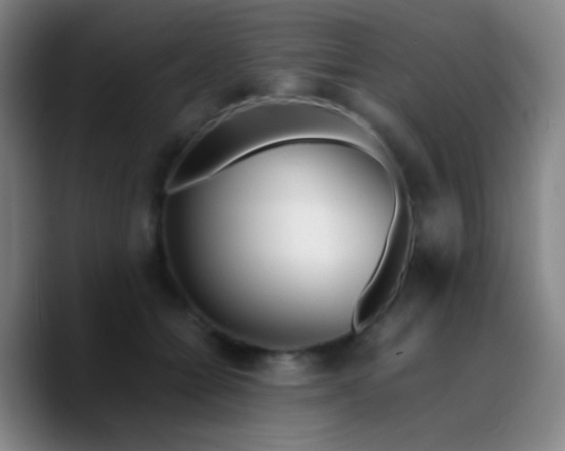 X0000090740558200707201431