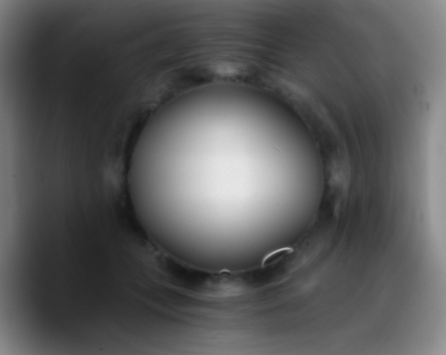 X0000090740559200707201431