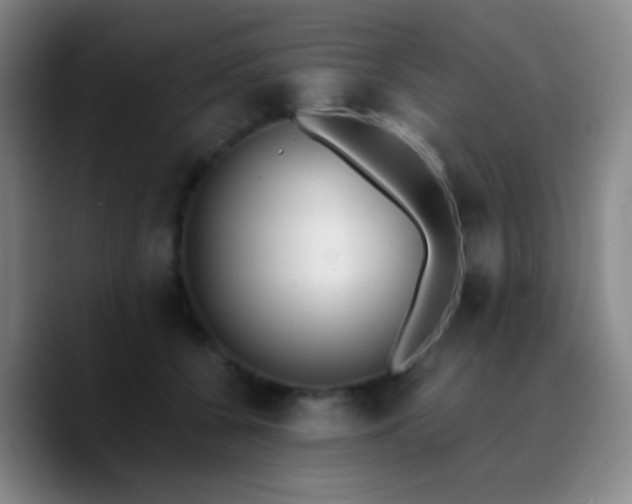 X0000090740560200707201431