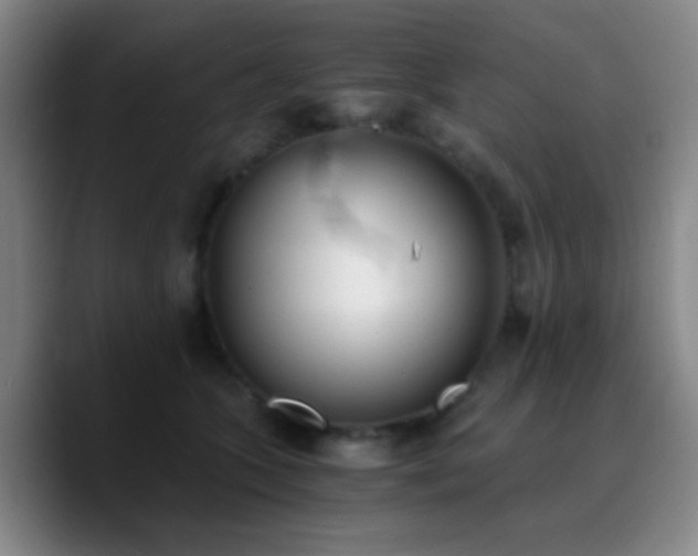X0000090740563200707201431