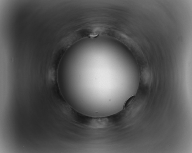 X0000090740571200707201431