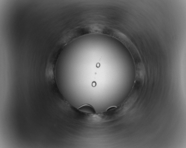 X0000090740573200707201431